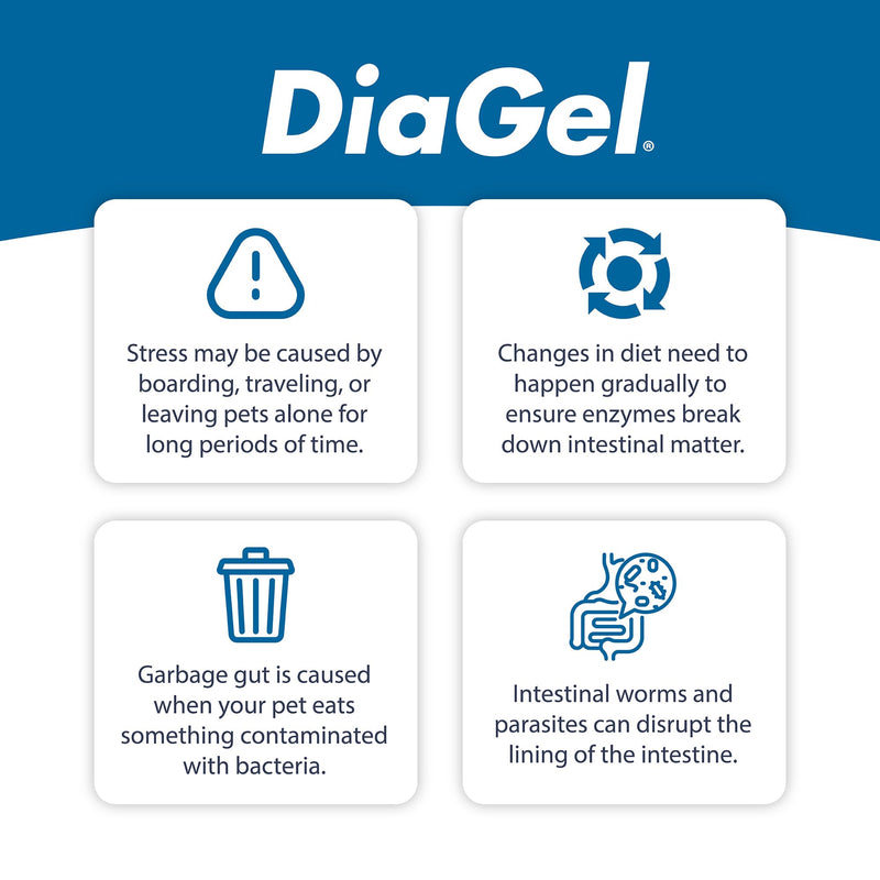 DiaGel for Large Dogs (61+ lbs.) - Orally Administered Gel for Occasional Loose Stools and Digestive Upset - Natural Pet Products - Van Beek Natural Science