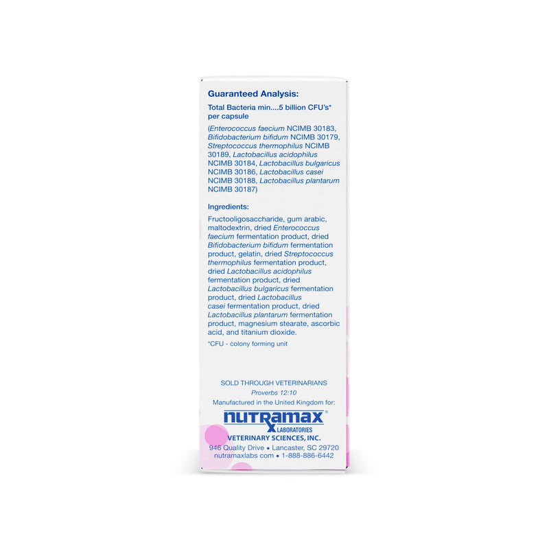 Nutramax Proviable Health Supplement for Cats and Dogs 30 Count - PawsPlanet Australia