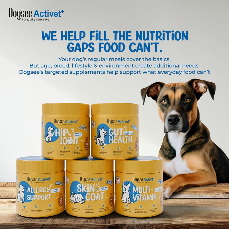 Dogsee Activet+ Dog Skin Coat Supplement Chews, with Omega 3, Omega 6,EPA & DHA, Biotin & Collagen, Stops Itchy Skin, Reduces Shedding, Promotes Shiny Coat, Healthy Skin, Chicken Flavor - 90 Chews Skin & Coat - Chicken
