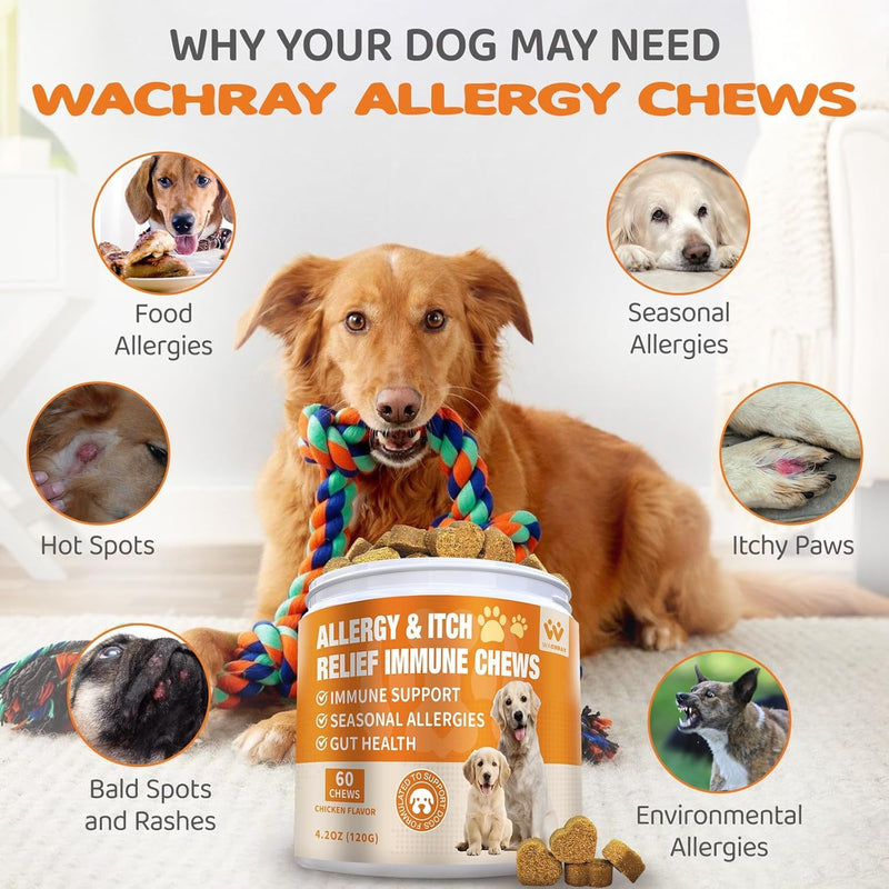 Dog Allergy Relief Chews - Advanced Dog Allergy Chews - Dоg Itching Skin Relief Treatment Pills with Probiotics - Immune Support & Skin Relief for Coat, Seasonal Allergies - 60 Treats Chicken 60 Count (Pack of 1)
