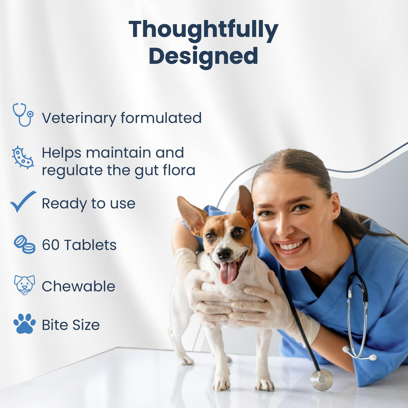 Bio PetActive Synbioflora | Probiotics&Prebiotics for Medium and Large Breed Dogs | Support Digestion,Gut and Stomach Health | Helps with Diarrhea,Gas and Constipation Relief | 60 Chews