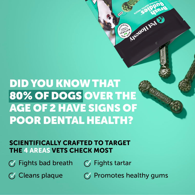 Pet Honesty Brush Buddies All Natural Dog Dental Treats for Dogs – Long Lasting Dental Sticks for Dogs, Teeth Cleaner, Breath Freshener, Plaque & Tartar Remover – Medium Sized Dogs (15 Count) Medium Dog - 15 Count