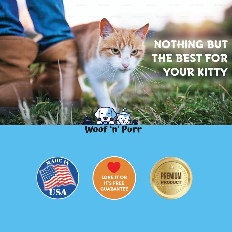 Taurine for Cats - Taurine Supplement for Cats - Supports Healthy Vision, Heart, Immune System, & Much More - Cat Heart Supplement - 1 fl oz - Roast Chicken Flavor
