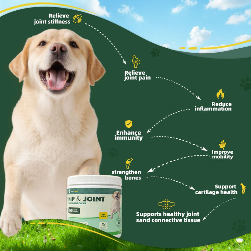 Glucosamine for Dogs 150pcs Joint Support Supplement Dog Hip and Joint Chondroitin Chews Treats with MSM, Omega3, Dog Joint Pain Relief Mobility Supplements Chicken Flavor Fit All Breed