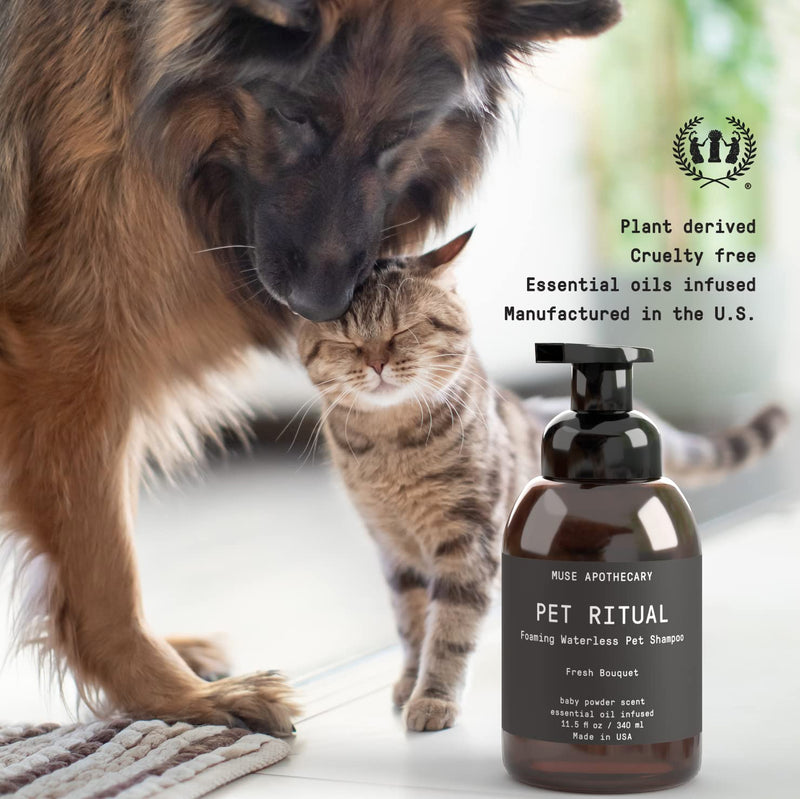 Muse Apothecary Pet Ritual Foaming Waterless Shampoo for Dogs, Waterless Dog Shampoo Foam, No Rinse Dog Shampoo, Waterless Dog Shampoo for Large Dogs - Essential Oils Infused, 11.5oz Oatmeal + Mango 5.75 Fl Oz (Pack of 2) - PawsPlanet Australia