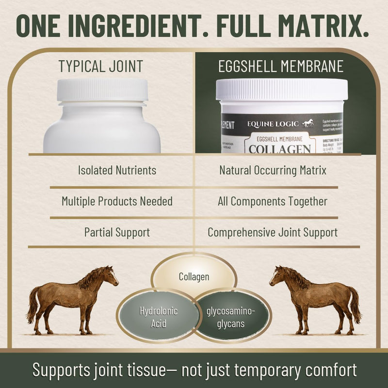 Eggshell Membrane Collagen for Horses – Natural Joint Supplement for Mobility, Cartilage, Tendons & Ligaments – Supports Flexibility – Pure Eggshell Membrane – Made in USA – 5.5 oz