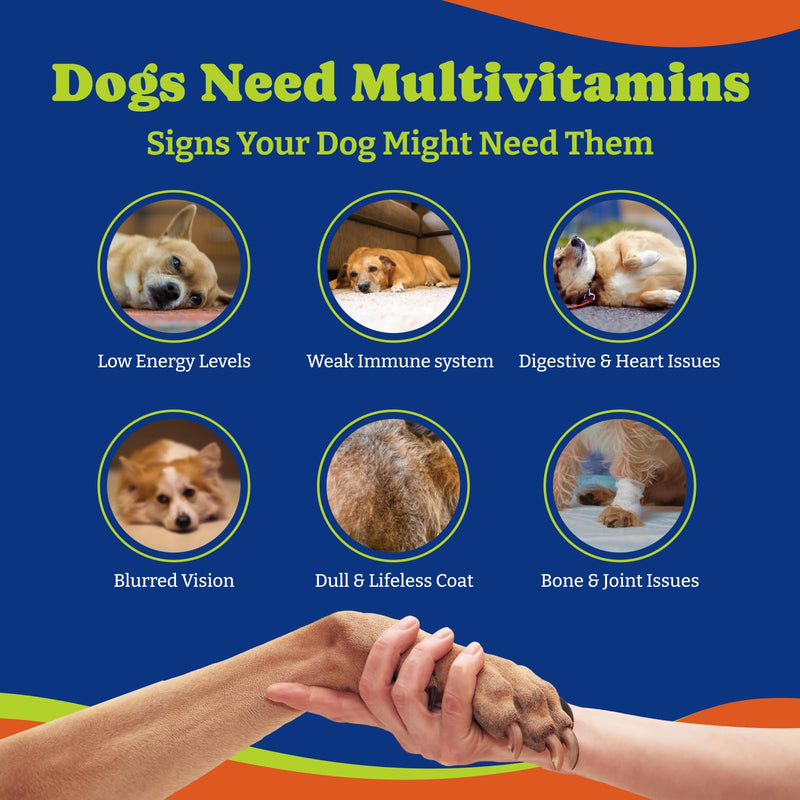 Dog Allergy Relief Chews for Immune Support & Itch Relief + Dog Multivitamin Chewable Supplement for Immune & Energy Boost, Joint Support - 180 Soft Chews - PawsPlanet Australia