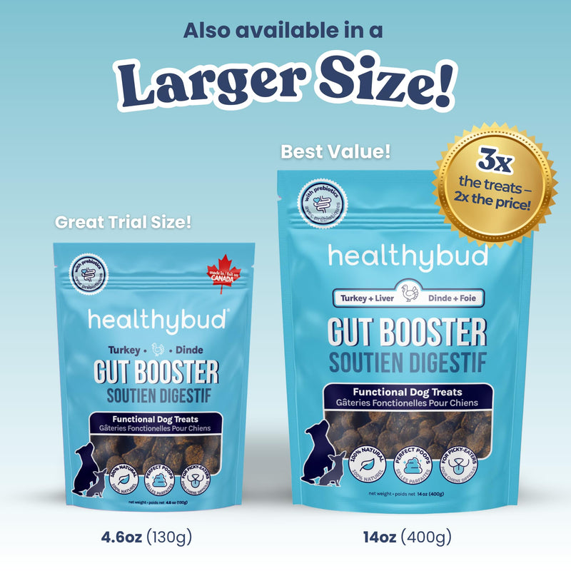 Healthybud Dog Probiotic Chews – Digestive & Gut Health Support – Prebiotic, Fiber, Pumpkin & Sweet Potato – Stool Hardener & Sensitive Stomach Relief – Made in Canada (4.6oz) 4.6 Ounce (Pack of 1)