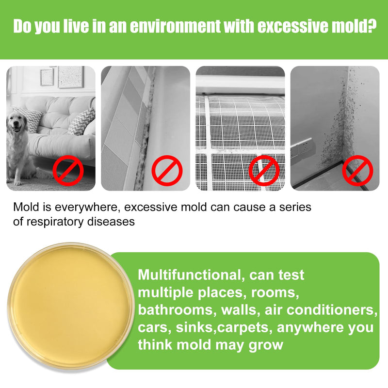 Mold Test Kit for Home - 6 Simple Detection Tests,Test HVAC System,Home Surfaces,&Indoor Air Quality Testing Kits,DIY black Mold Detector at Home,Includes Detailed Mold Identification Guide,air Tester