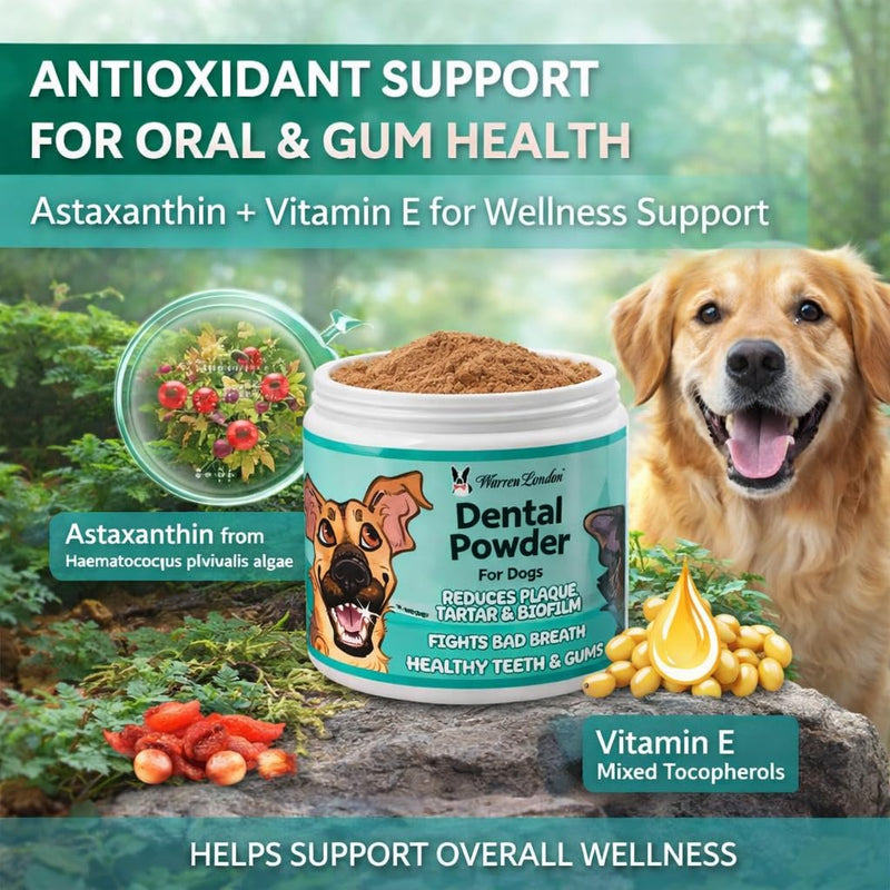 Warren London Premium Dental Powder for Dogs – Fresh Breath & Tartar Support with Kelp Astaxanthin Green Tea & Mint – Daily Oral Care Supplement for Teeth & Gums – Made in USA 60g