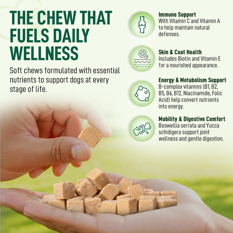 14-in-1 Multivitamin for Dogs – 120 Bacon Soft Chews | Daily Vitamins with Joint Support, Immune Health, Skin & Coat | A, D3, E, C & B-Complex | All Breeds & Ages