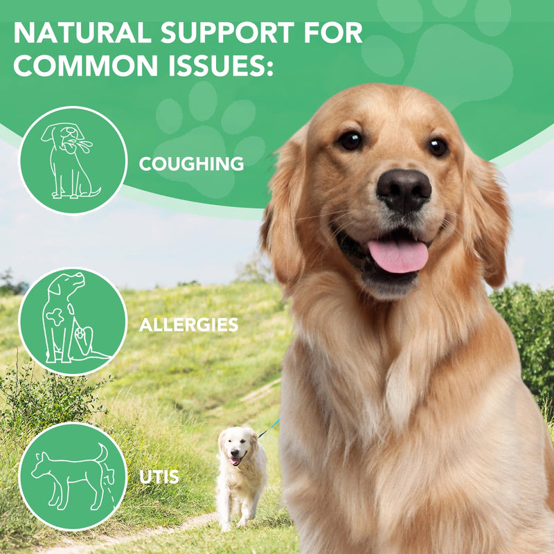 Antibiotics for Dogs, Natural Antibiotics for Dogs, Dog Antibiotics for Infection Supports Immune & Dogs Allergy Relief, Dog Multivitamin UTI Drops Natural Supplement for All Ages & Breeds-2PCS 2PCS
