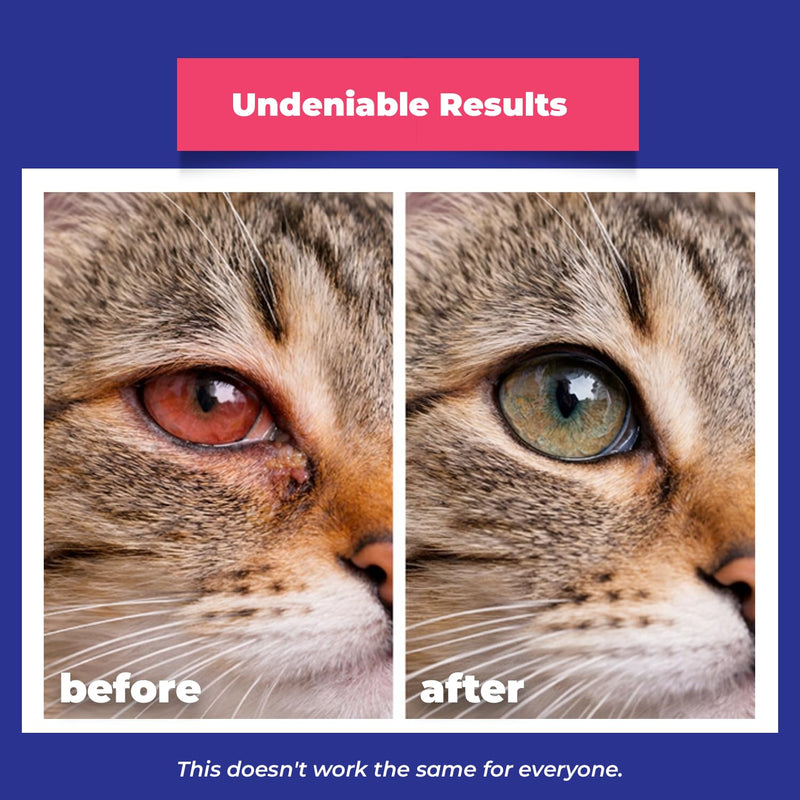 EYEMYCIN Pet Eye Health for Dogs, Cats, Cattle, Sheep, Horses, Birds and Puppies, Kitten (1 Pack) 1 PACK