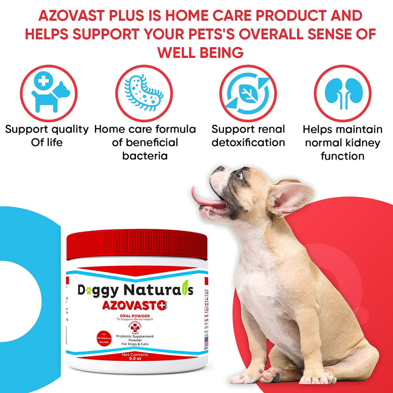 Azovast Plus Kidney Health Supplement for Dogs & Cats, Oral Powder (6 Oz) - (120 Doses/ Jar) NO Refrigeration Required - Help Support Kidney Function & Manage Renal Toxins (Made in U.S.A) - PawsPlanet Australia
