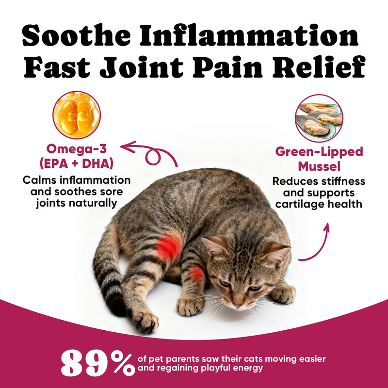 Cat Oral & Joint Support Bundle – Dental Water Additive with Joint Support Creamy-Filled Treats for Mobility & Daily Comfort