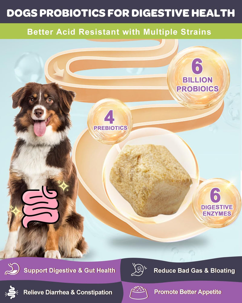 NATURE TARGET Probiotics for Dogs, 6 Billion CFUs Dog Probiotics for Digestive Health with Prebiotic and Digestive Enzymes, Rich in Omega 3 and Vitamins for Skin & Coat, Salmon-Flavored - 120 Counts 120 Count