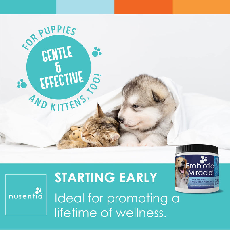 NUSENTIA Probiotic Miracle Dog Probiotics for Dogs (Up to 360 Servings) - PawsPlanet Australia