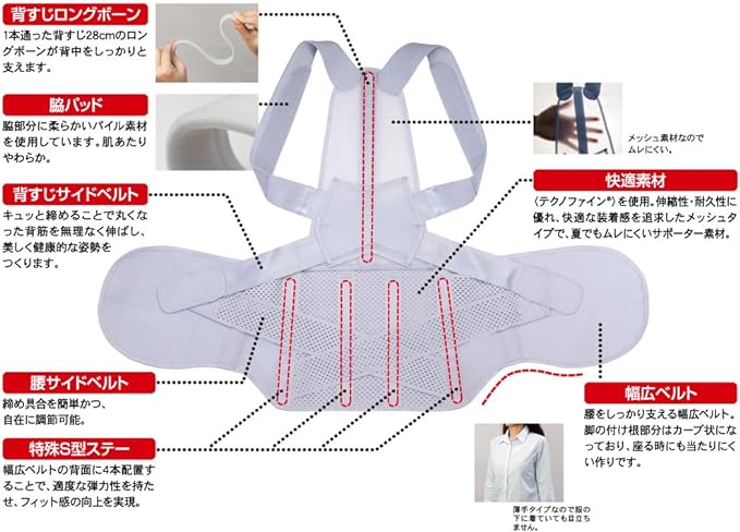 Alphax Posture Supporter, Made in Japan, Posture Belt Corrects From Doctor's Waist, L-LL - NewNest Australia