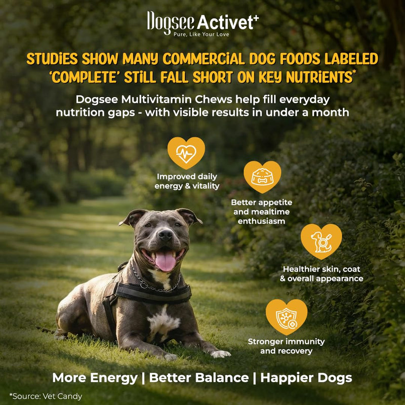 Dogsee Activet+ Dog 12 in 1 Multivitamin Supplement Chews, with Vitamins, Minerals, Probiotics, Omega 3 & Glucosamine for Overall Dog Health, Chicken Flavor – 90 Chews Multivitamin- Chicken