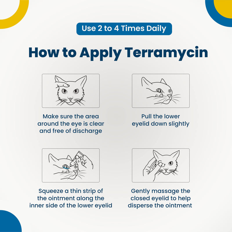 Terramycin Antibiotic Ointment for Eye Infection Treatment in Dogs, Cats, Cattle, Horses, and Sheep, 0.125oz Tube - PawsPlanet Australia