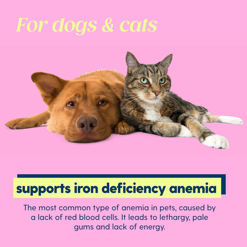 Taily AminoPets Liquid Iron Supplements for Dogs, Cats | Supports Anemia, Low Enery Levels and Lethargy | For Dogs, Puppies, Cats, and Kittens - Made in USA - PawsPlanet Australia