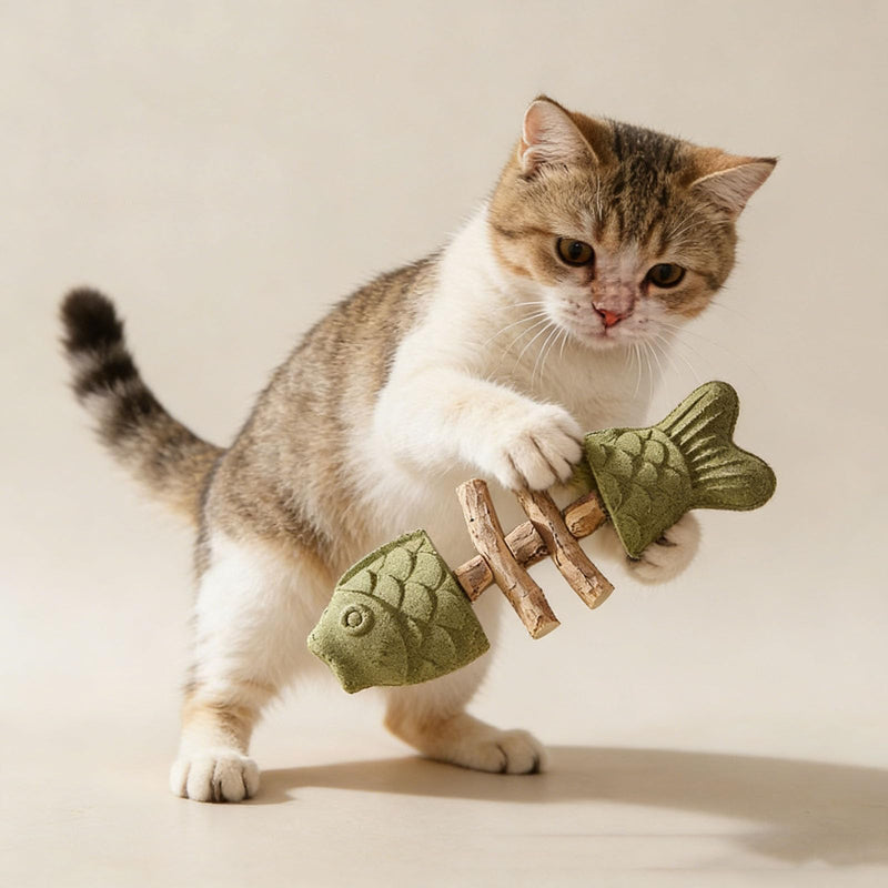 Purrident - Fix Cat Dental Health, Natural Dental Chew for Cats, Fishbone Shape Cat Teething Toy with Catnip, Durable Feline Tooth Care Tool for Indoor & Adult Cats (3PCS-D) 3PCS-D