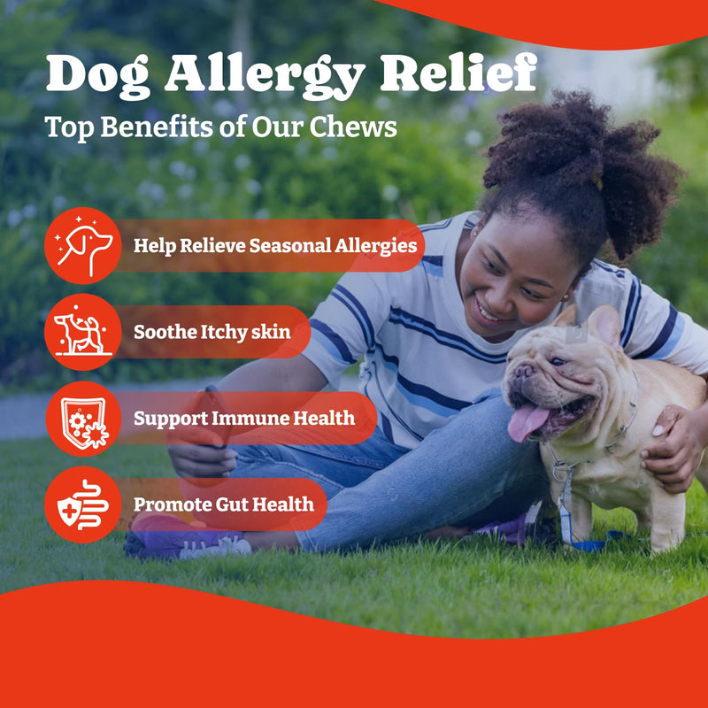 Dog Allergy Relief Chews – 70 Count + Probiotics 180 Count for Allergy, Gut & Immune Support