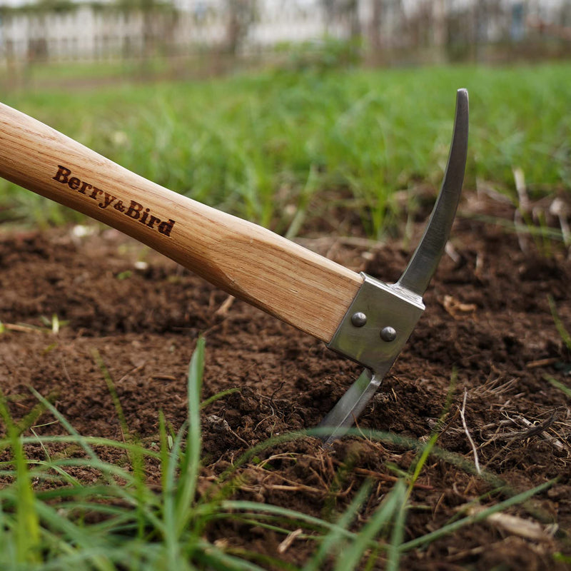 Berry&Bird Gardening Pick Axes, Stainless Steel Pickaxe Mattock Hoe with Wooden Handle, Heavy Duty Pick Axe Hand Tool for Transplanting Digging Planting Loosening Soil Camping or Prospecting Lenght:14.9inch
