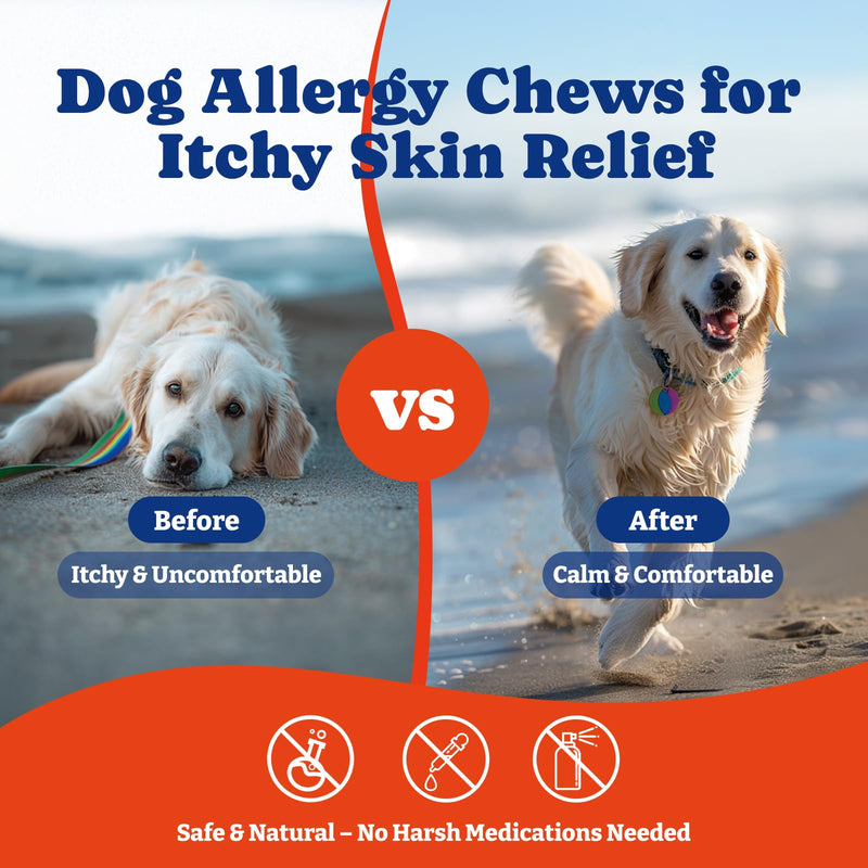 Dog Allergy Relief Chews – 70 Count + Probiotics 180 Count for Allergy, Gut & Immune Support