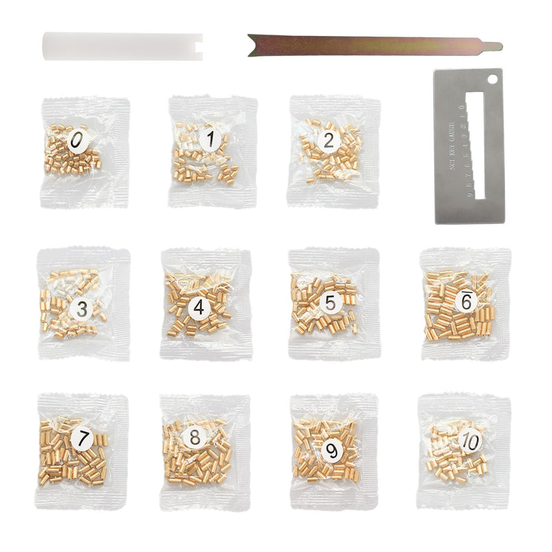 SC1 SC4 Keyway Rekey Kit Compatible with Schlage, Complete DIY Lock Rekeying Set for Home Security and Door Locks with Bottom Pins (0-9, 50 Each)