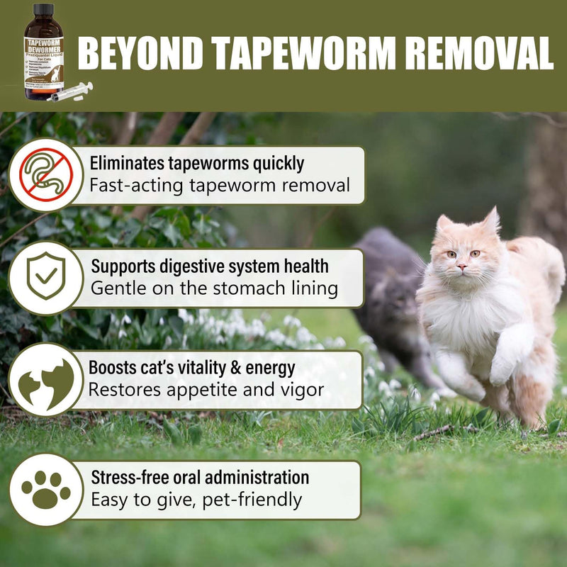 Tapeworm Dewormer for Cats & Kittens – Praziquantel Liquid 100 mL for Cats 6 Weeks & Older, Include 3 ml Dropper with Cap