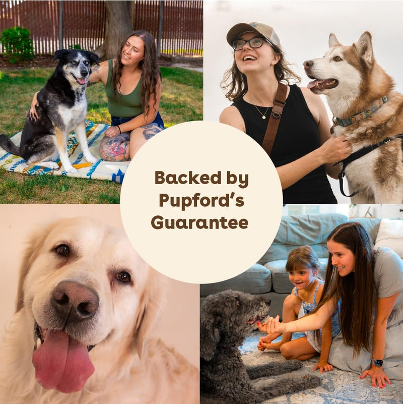 Pupford Sudsy Shampoo Bar for Dogs (Original) Original - PawsPlanet Australia