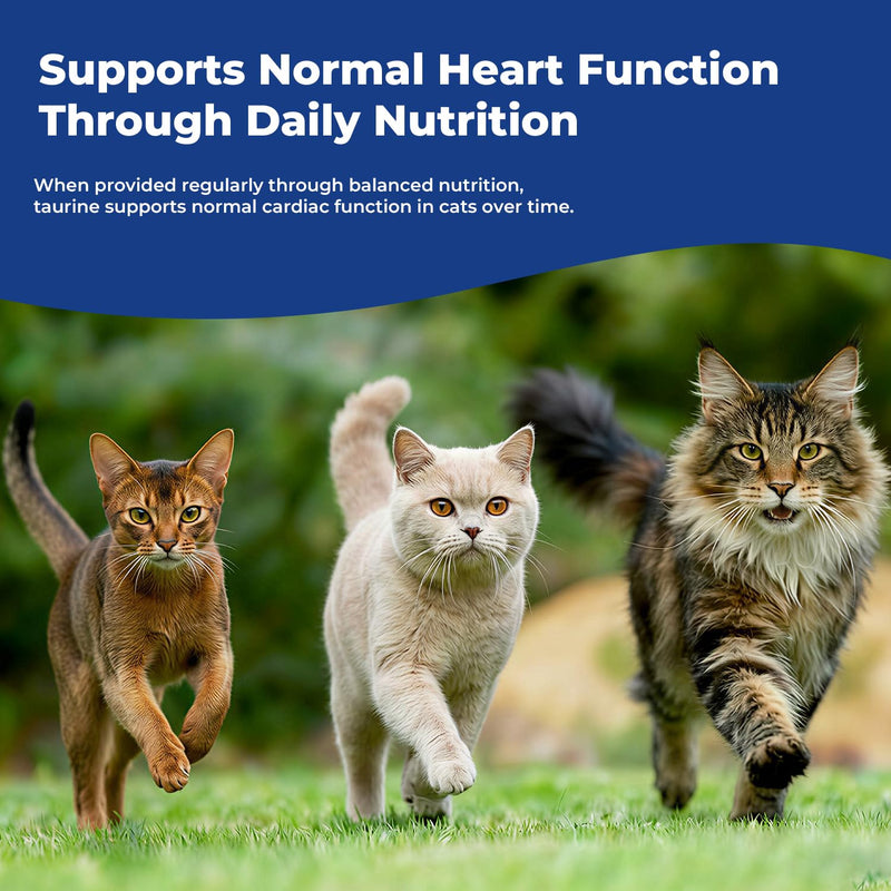 Taurine Supplement for Cats Liquid Drops, Essential Taurine Support for Heart Health, Vision & Immune Function, Daily Feline Nutrition Supplementt, 60 mL × 2 Bottles