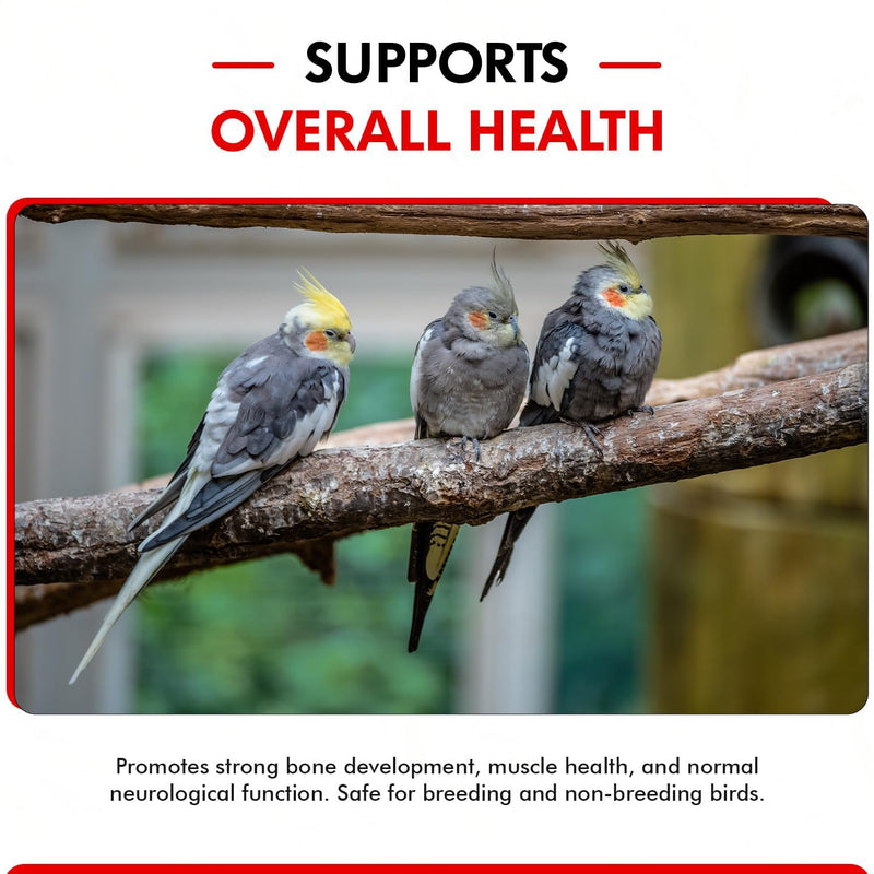 Morning Bird Calcium Plus Liquid for Birds – Calcium Supplement with Vitamins and Minerals for Strong Eggshells, Healthy Bones - Support Growth, Breeding, and Wellness for All Birds 8 Fl Oz