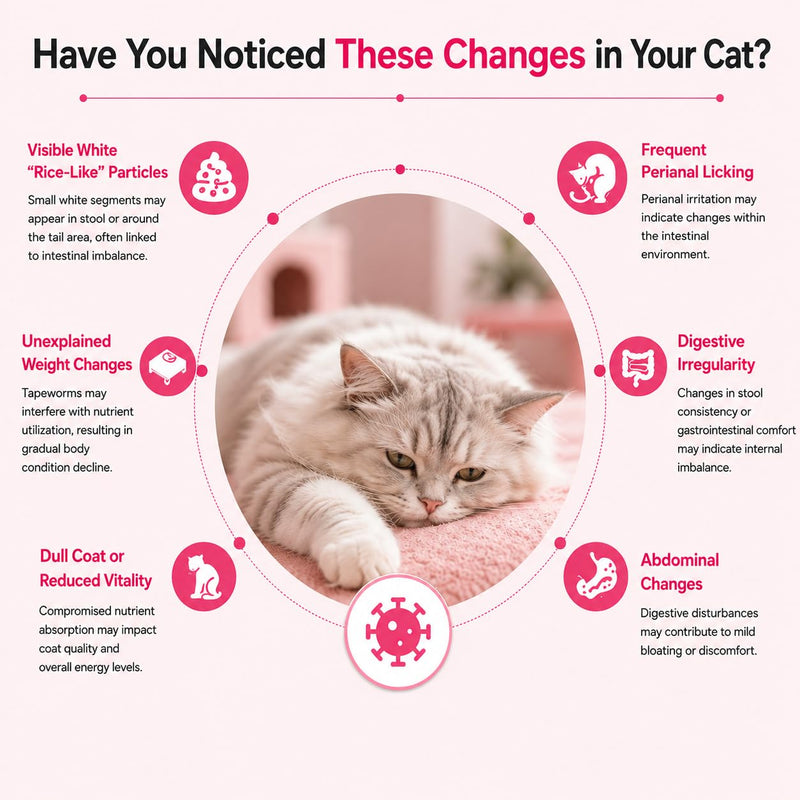 Tapeworm Solution for Cats and Kittens, Say Goodbye to Tapeworms in Cats and Kittens, Rapid Absorption, 48 Tablets