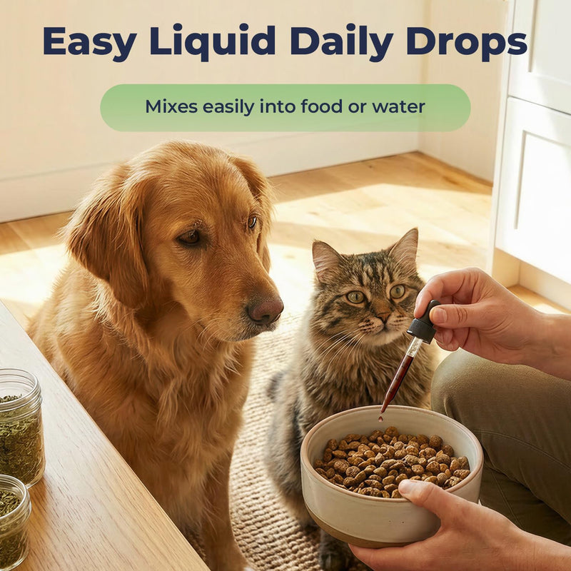 Stinging Nettle Leaf Drops for Dogs & Cats, Liquid Pet Supplement for Skin Comfort & Coat Health, Sensitive Skin Support During Seasonal Changes, Sugar & Alcohol Free Formula, 2 fl oz