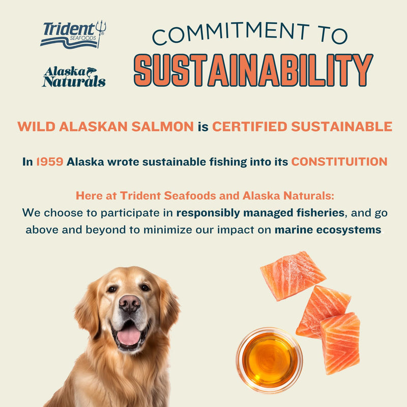 Alaska Naturals Wild Alaskan Salmon Fish Oil Supplement for Dogs Skin and Coat with EPA DHA Omega 3 Fatty Acids Liquid Food Topper 15.5 oz.