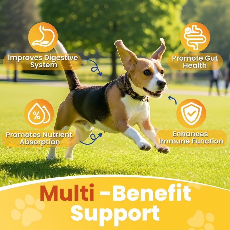 200 Count Probiotic Chew for Dogs-Probiotics Chews for Gut Digestive Health & Itchy Skin Support Relieve Diarrhea Enhance Immunity Breath Freshener with Enzymes Prebiotic Pumpkin-Chicken Chicken