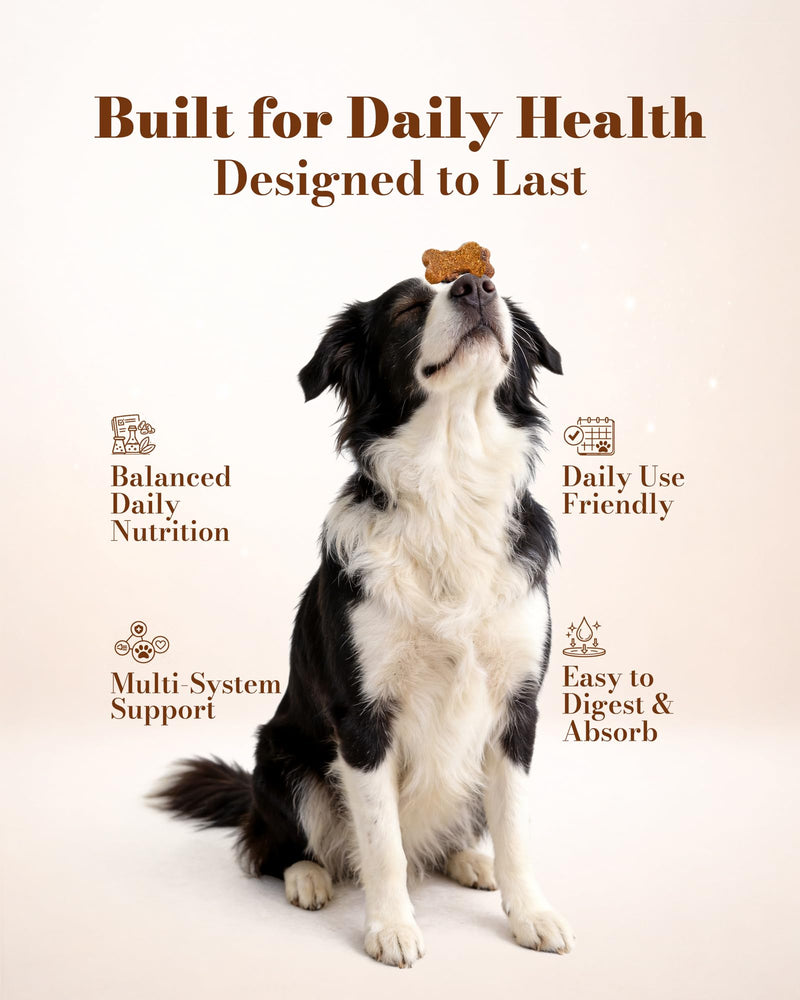 Dog Multivitamin Soft Chews – Daily Dog Vitamins & Supplements for Immunity, Skin & Coat, Digestion & Overall Wellness, Tasty Chewable Vitamins for Dogs, All Breeds & Ages, Chicken Flavor, 120 Chews
