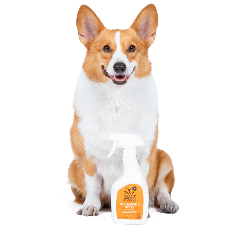 Wags and Wiggles No Marking Deterrent Training Spray for Dogs - Indoor Dog Pee Repellent, Anti-Marking Behavior Correction Spray for Puppies and Adult Dogs, 16 Fl Oz Citrus Zesty 16 Fl Oz (Pack of 1)