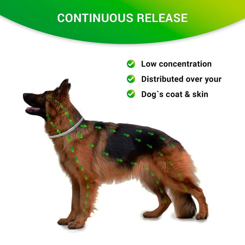 SOBAKEN Flea and Tick Prevention for Dogs, 1 Size Fits All, 25 Inch, Natural and Hypoallergenic Collar, 8 Month Protection, 2 Pack - PawsPlanet Australia