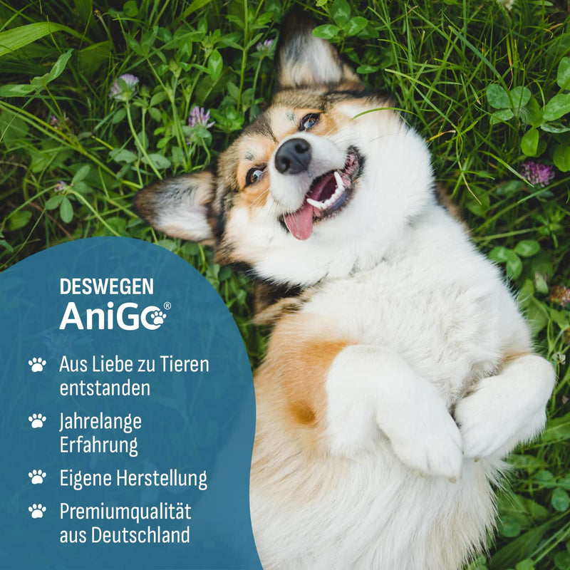 AniGo ear mite oil 50ml immediately effective remedy for cats - against ear mites with chamomile for cats, gentle care for itching in the ear, ear drops for mites, ear cleaner - PawsPlanet Australia