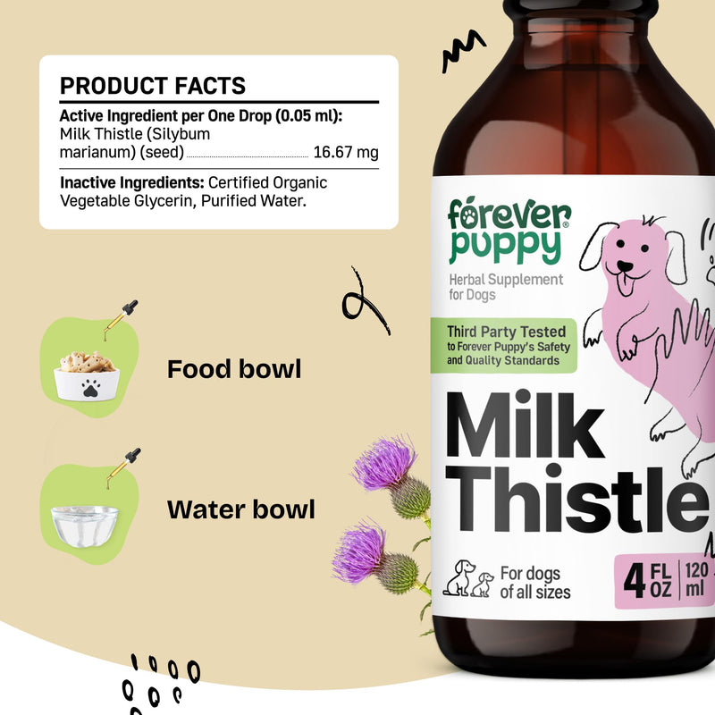 Milk Thistle for Dogs - Liver Supplements for Dogs w/Milk Thistle Liquid Extract - Herbal Liver Support Drops for Large Medium Small Breed - Silymarin Vitamins and Supplements - 4 oz 4 fl oz - PawsPlanet Australia