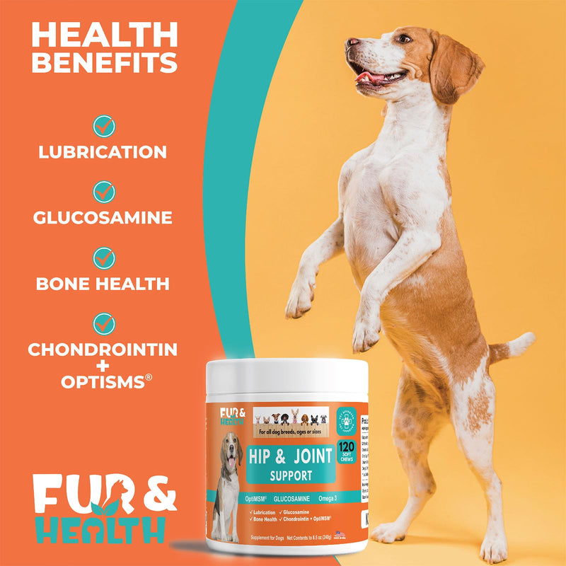 Fur & Health Advanced Glucosamine Chondroitin for Dogs - Hip Joint Pain Relief Soft Chew - Old Dog Joint Supplement Large & Small Breed - Hip Joint Chews Mobility Support - PawsPlanet Australia