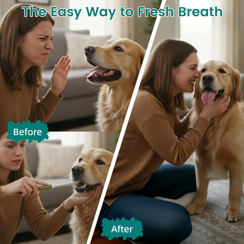 4 Pack Dental Chews for Dogs, Freeze Dried Dog & Cat Treats to Help Clean Teeth & Freshen Breath,Supports Gum & Oral Health, Daily Oral Care Treats for Cats and Dogs