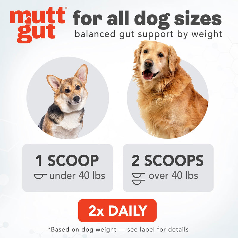 All Natural 3 in 1 Probiotics for Dogs-Postbiotic Powder Supplement-Made in USA- Digestive Enzymes Made with 135 Billion CFUs, Plant-Based Anti-Diarrhea & Antioxidant Dogs Probiotic(120g) 120g