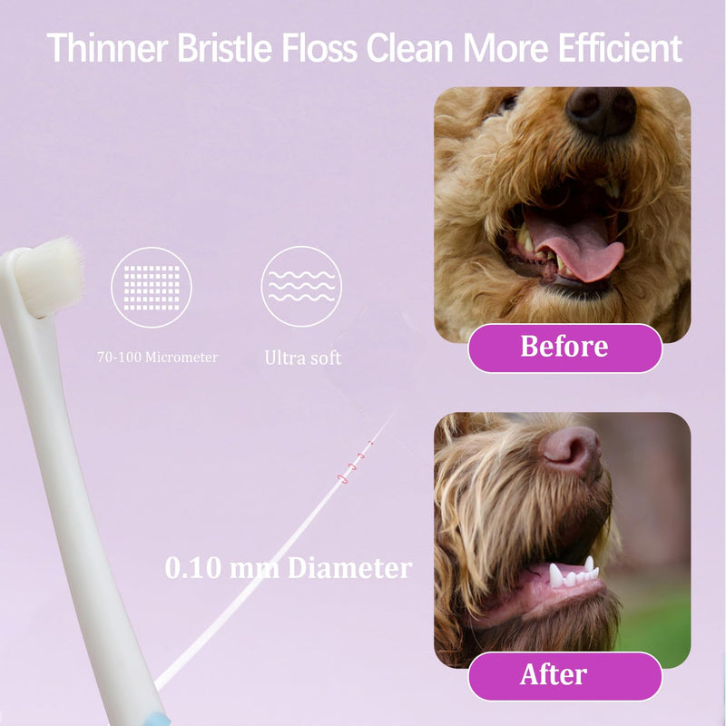 JGocot Cat Toothbrush and Cat Acne Brushes