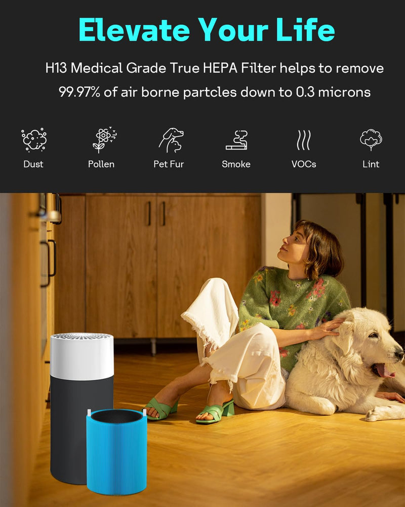 Leemone Blue Pure 411 Series AllergenBlock Filter Compatible with Blueair Blue Pure 411, 411 Auto, 411+ Air Purifier, 2 Pack