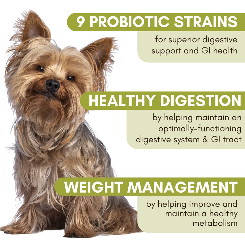 Wholistic Pet Organics WholeBiotics Supplement: Organic Dog Probiotic Powder - Cat Probiotic with Digestive Enzymes - Dog Probiotics for Diarrhea, Gas, Constipation, Upset Stomach, Allergies - 1 Oz - PawsPlanet Australia