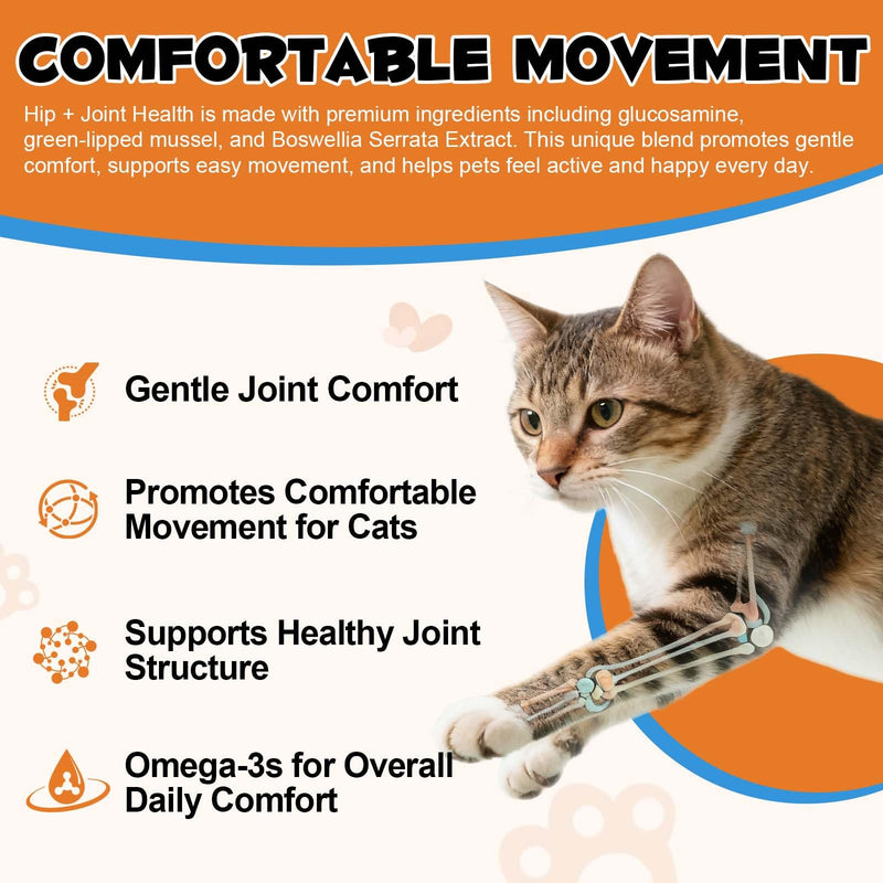Hip & Joint Bites for Cats - Chicken Flavored Glucosamine Joint Supplement for Cats - Cat Joint Supplement for HIPS & Joints, Cat Arthritis Pain Relief, with Green Lipped Mussel, 3.7 oz 1 pack 100g